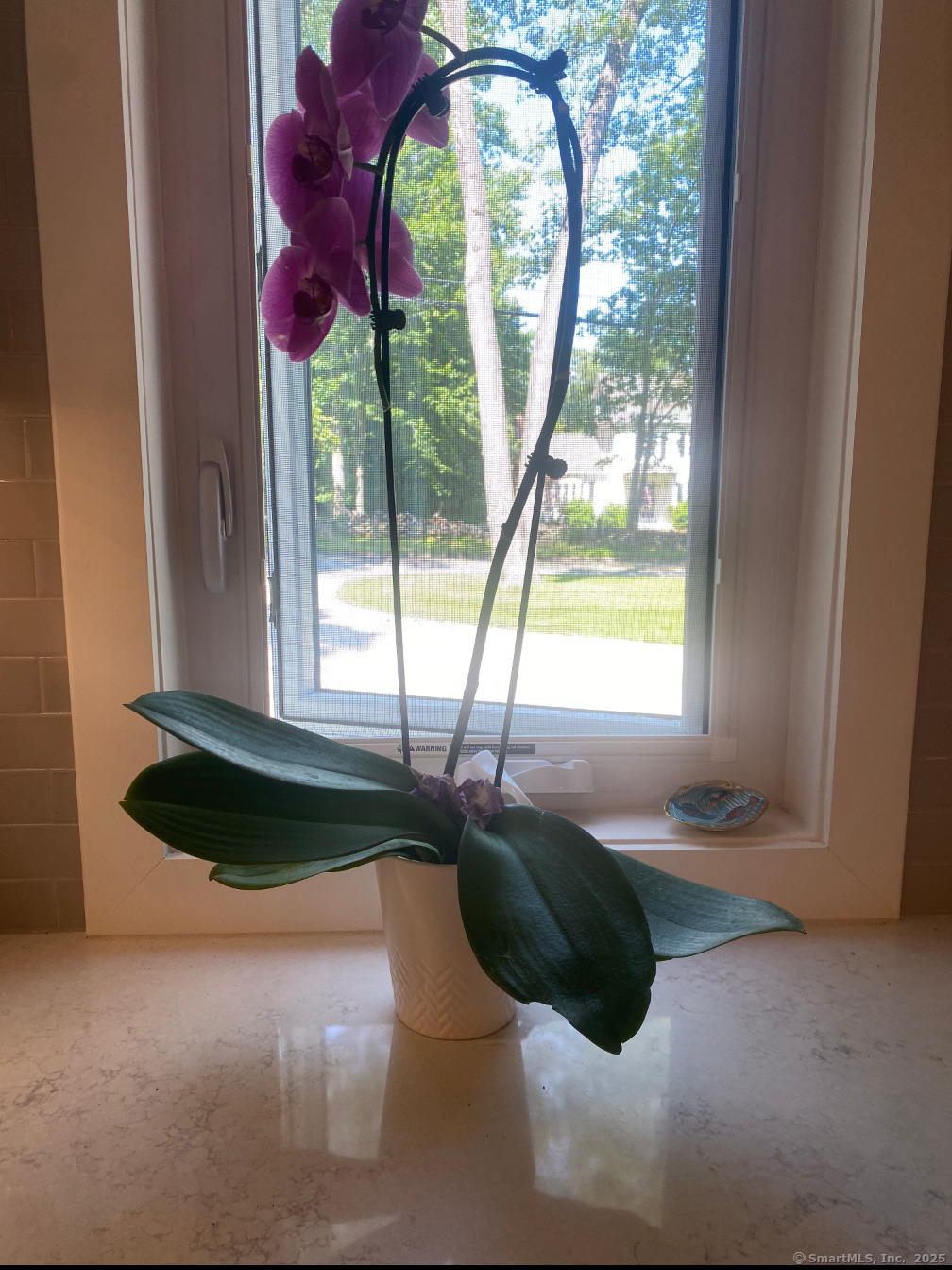 101 Cow Hill Road Clinton, CT 06413 - Photo 8 of 24 a living room with a bed and a large window