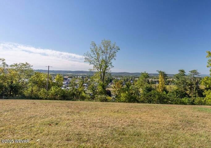 157 Red Barn Road Hughesville, PA 17737 - Photo 32 of 40 Views from Front Yard