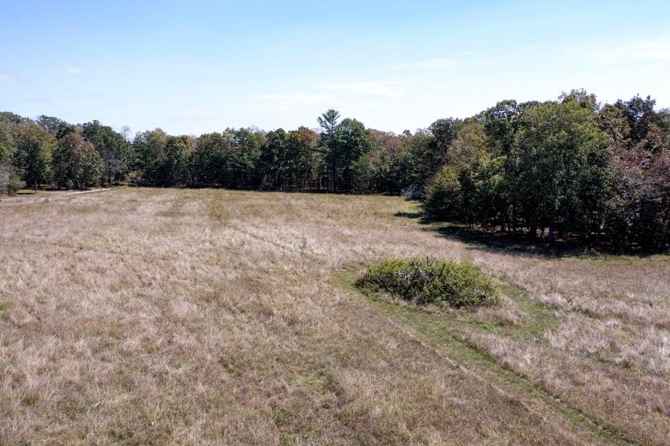 732 J B Swafford Road Spring City, TN 37381 - Photo 28 of 52 28