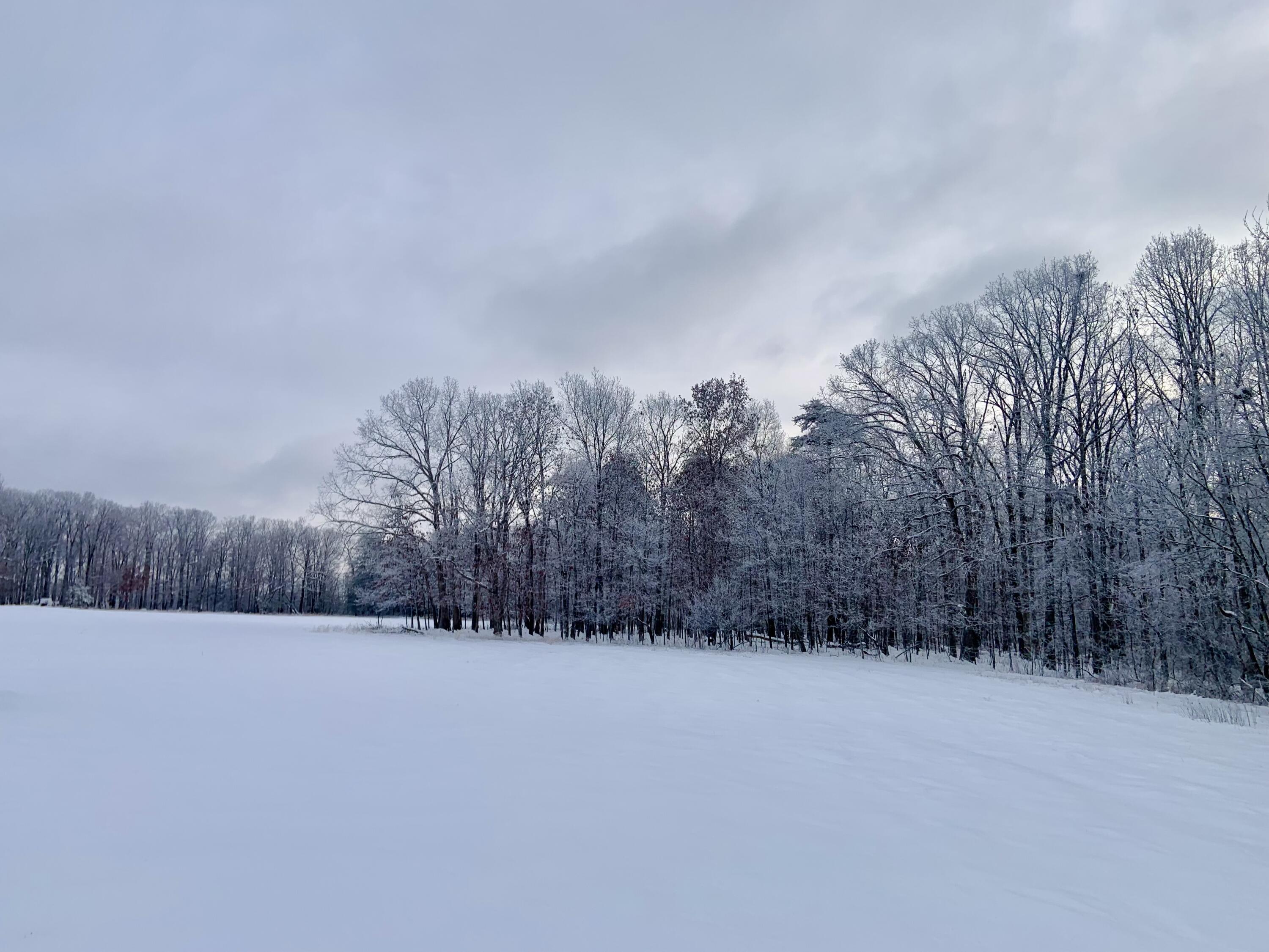 732 J B Swafford Road Spring City, TN 37381 - Photo 43 of 52 IMG_2281