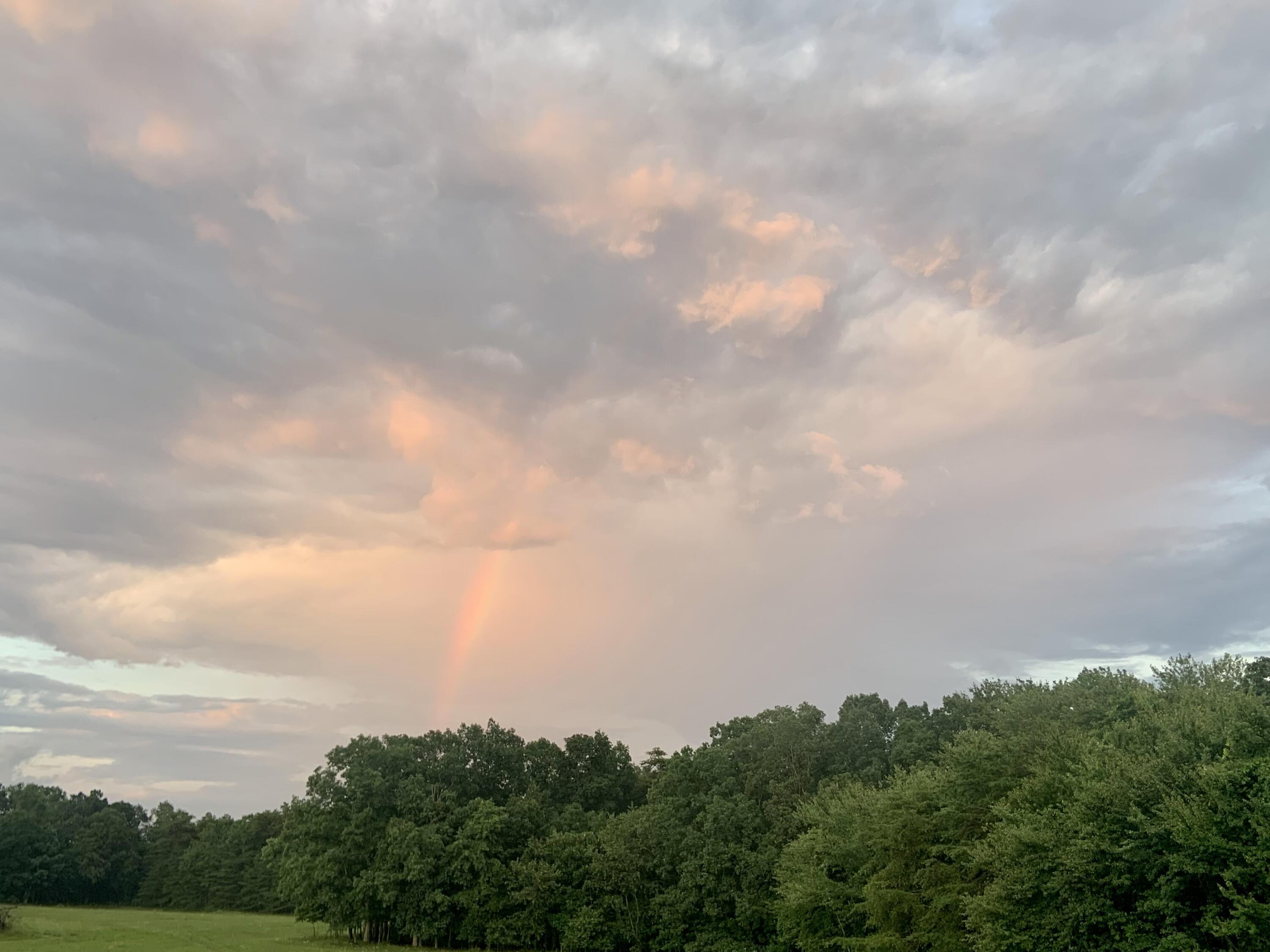 732 J B Swafford Road Spring City, TN 37381 - Photo 50 of 52 IMG_7201