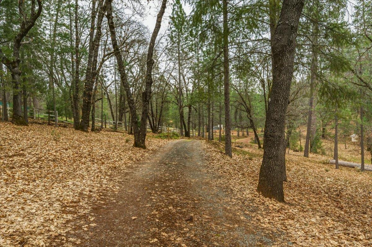 14752 Little Greenhorn Road Grass Valley, CA 95945 - Photo 31 of 35 a view of outdoor space with trees