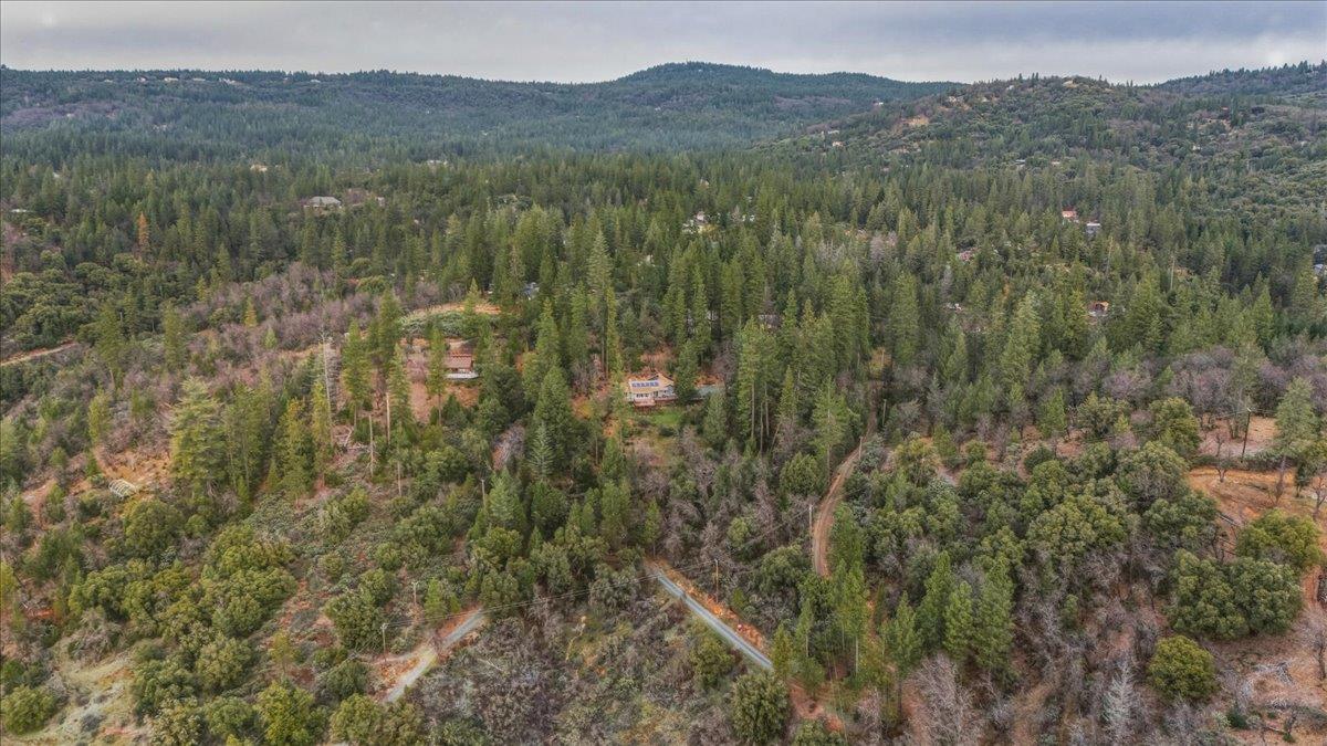 14752 Little Greenhorn Road Grass Valley, CA 95945 - Photo 33 of 35 a view of a forest with a mountain