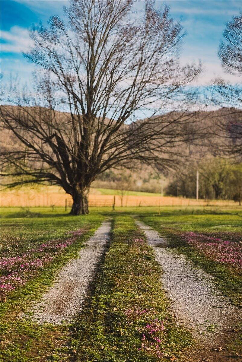 11414 Upper East Valley Road Pikeville, TN 37367 - Photo 2 of 23