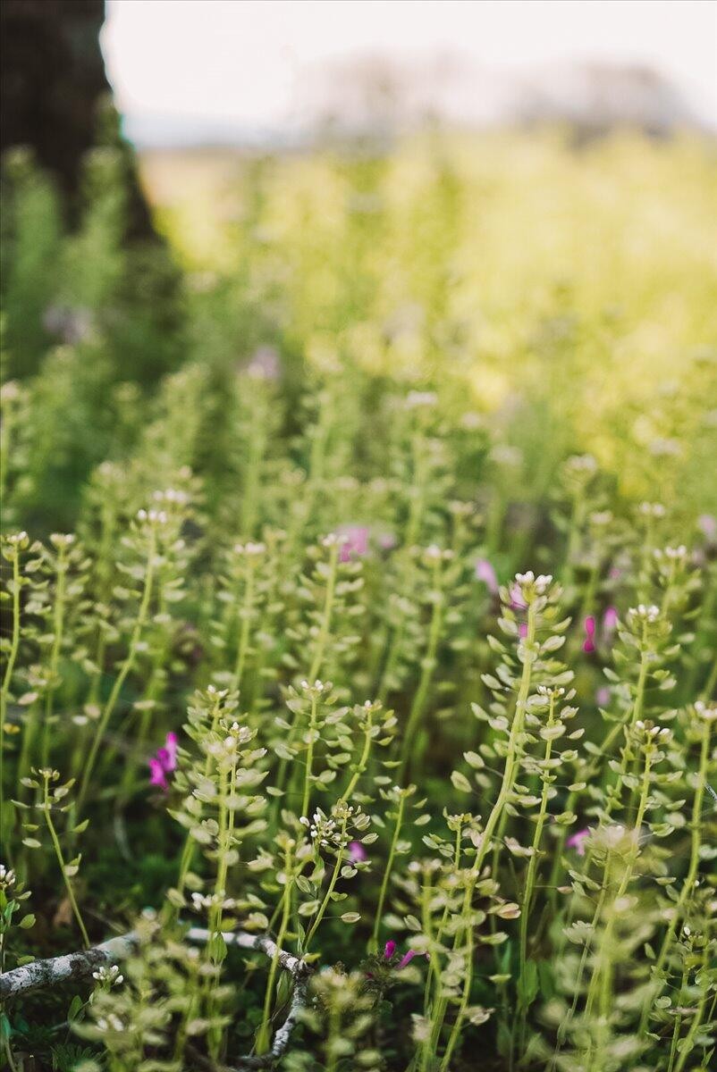 11414 Upper East Valley Road Pikeville, TN 37367 - Photo 21 of 23