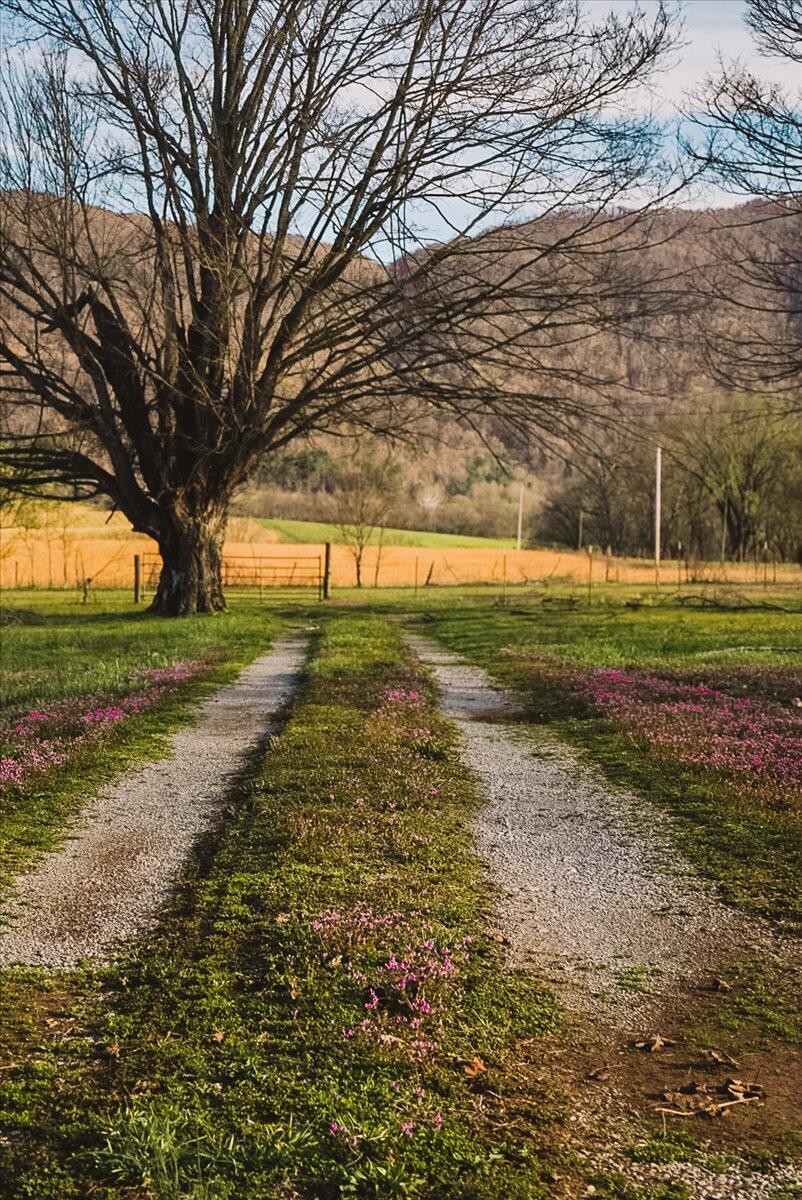 11414 Upper East Valley Road Pikeville, TN 37367 - Photo 22 of 23