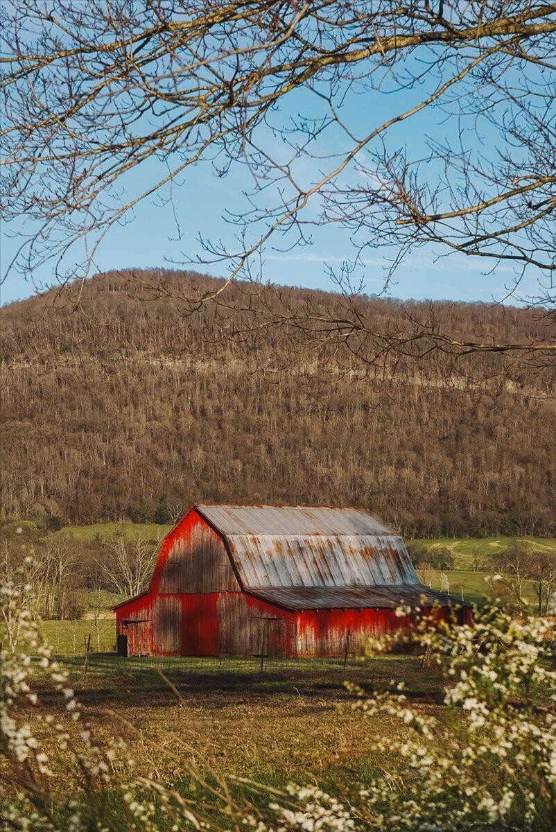 11414 Upper East Valley Road Pikeville, TN 37367 - Photo 23 of 23