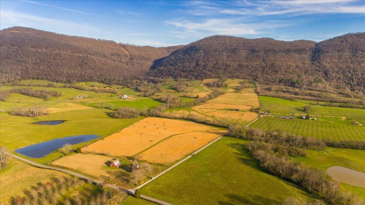 11414 Upper East Valley Road Pikeville, TN 37367 - Photo 3 of 23