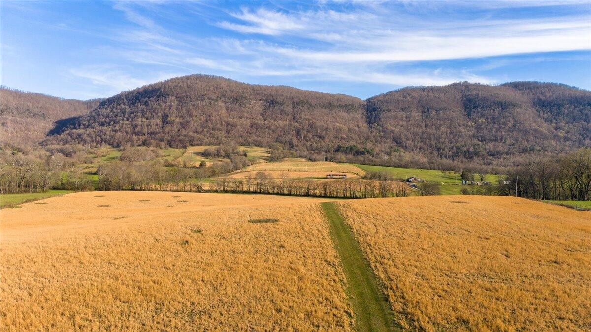 11414 Upper East Valley Road Pikeville, TN 37367 - Photo 9 of 23