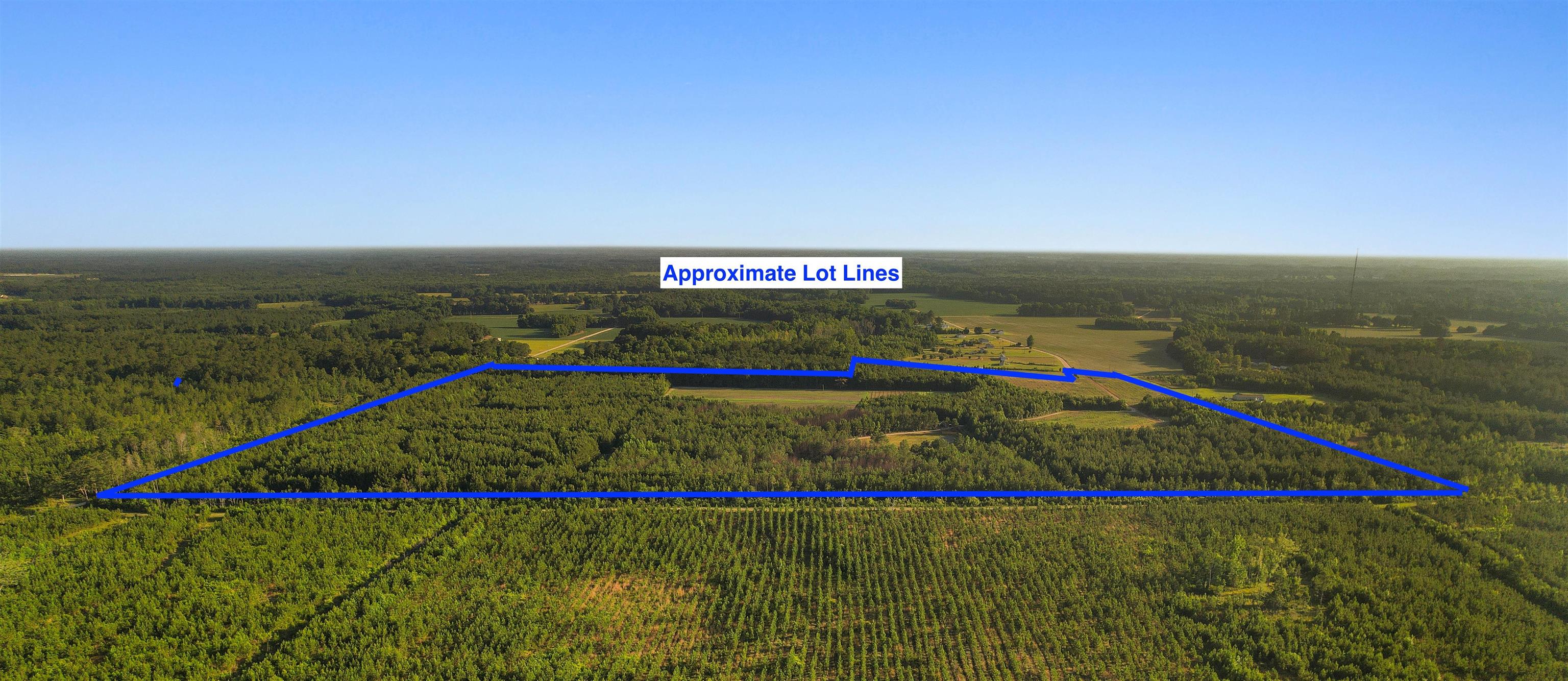 77-acres - Tbd Bert Hanna Road Hemingway, SC 29554 - Photo 28 of 28