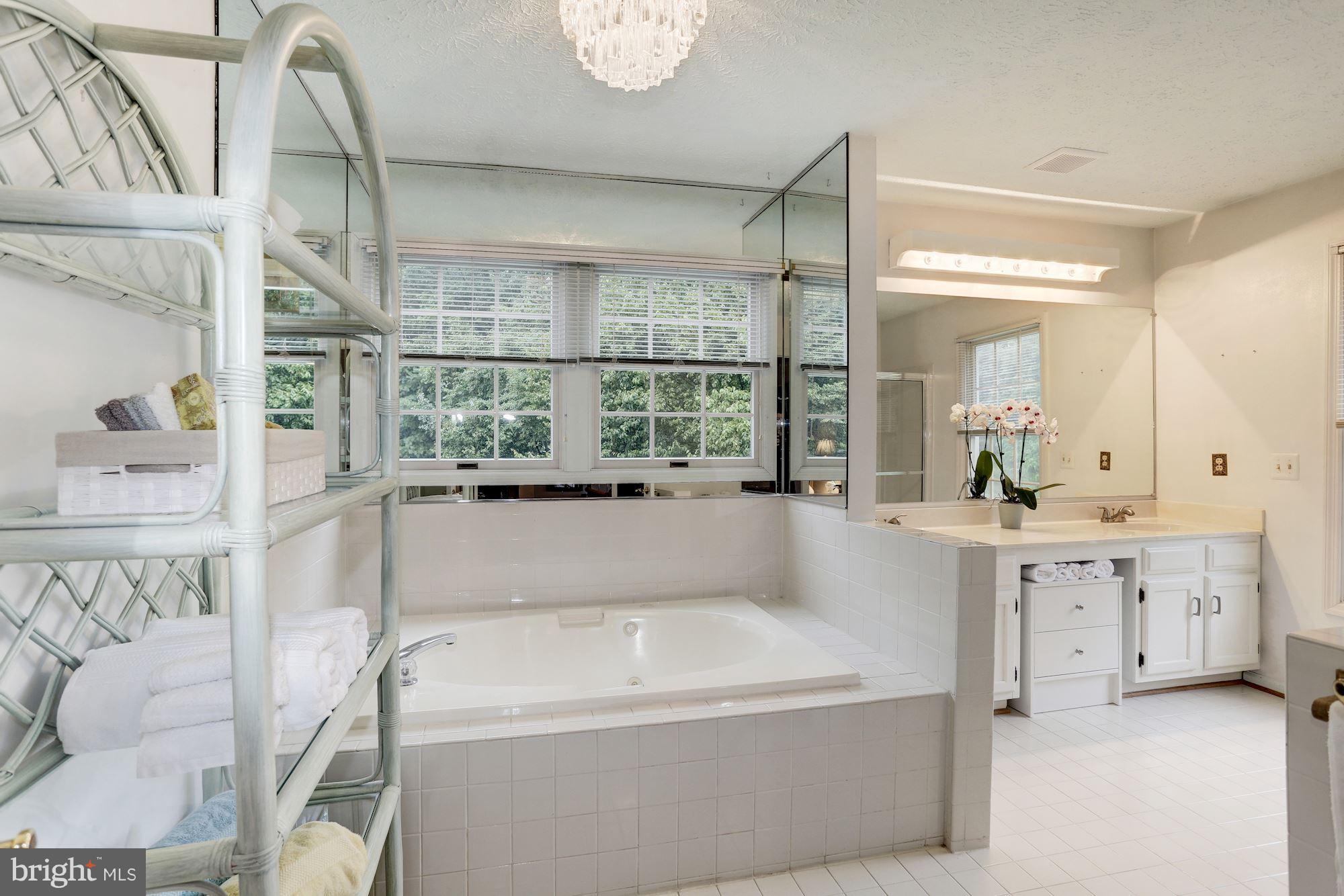 1215 Brookview Road Baltimore, MD 21286 - Photo 14 of 30 Master Bath