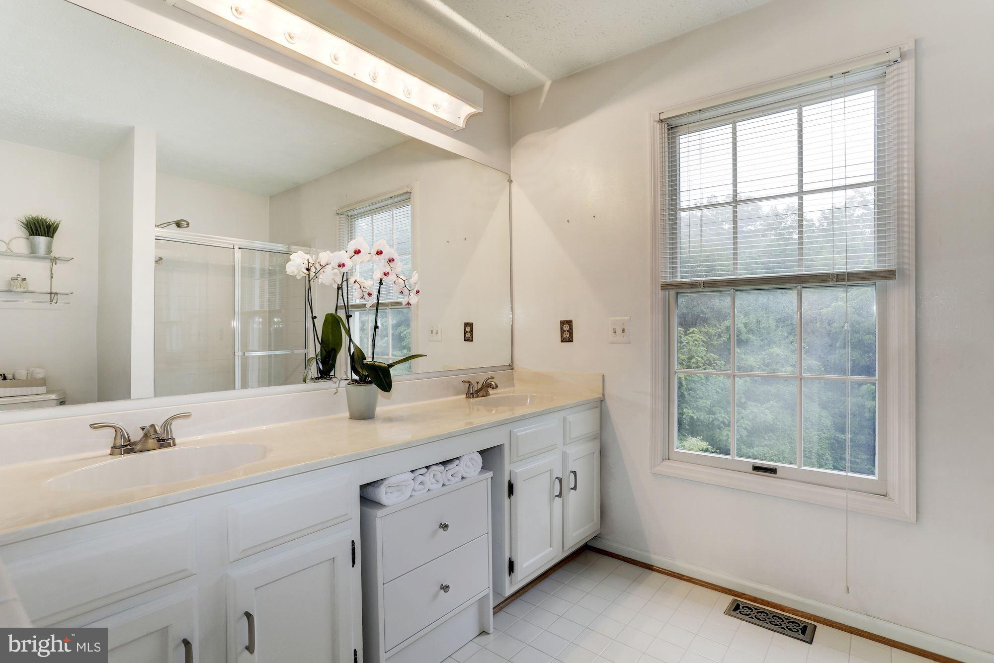 1215 Brookview Road Baltimore, MD 21286 - Photo 15 of 30 Master Bath