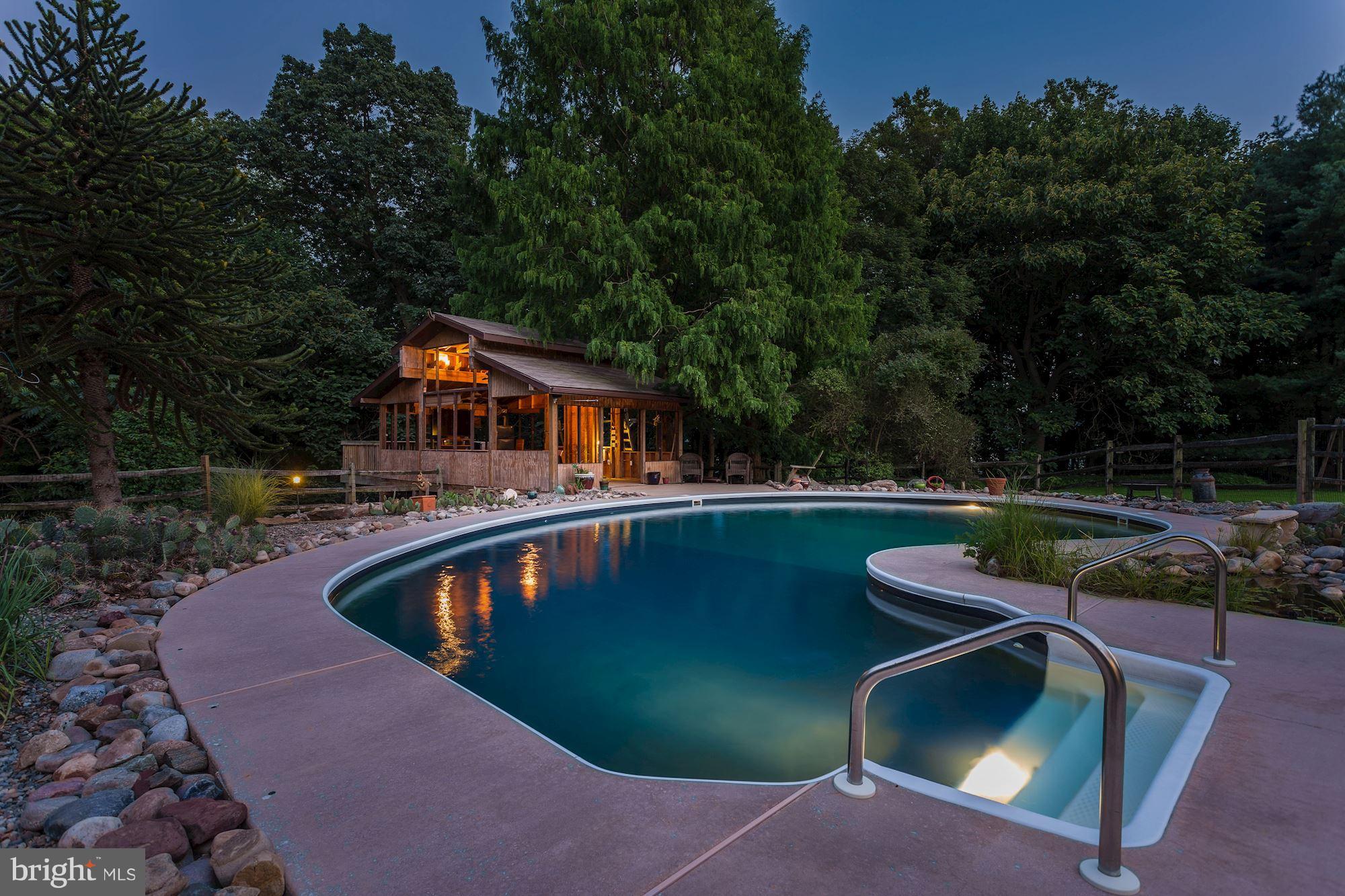 1215 Brookview Road Baltimore, MD 21286 - Photo 27 of 30 In-Ground Pool