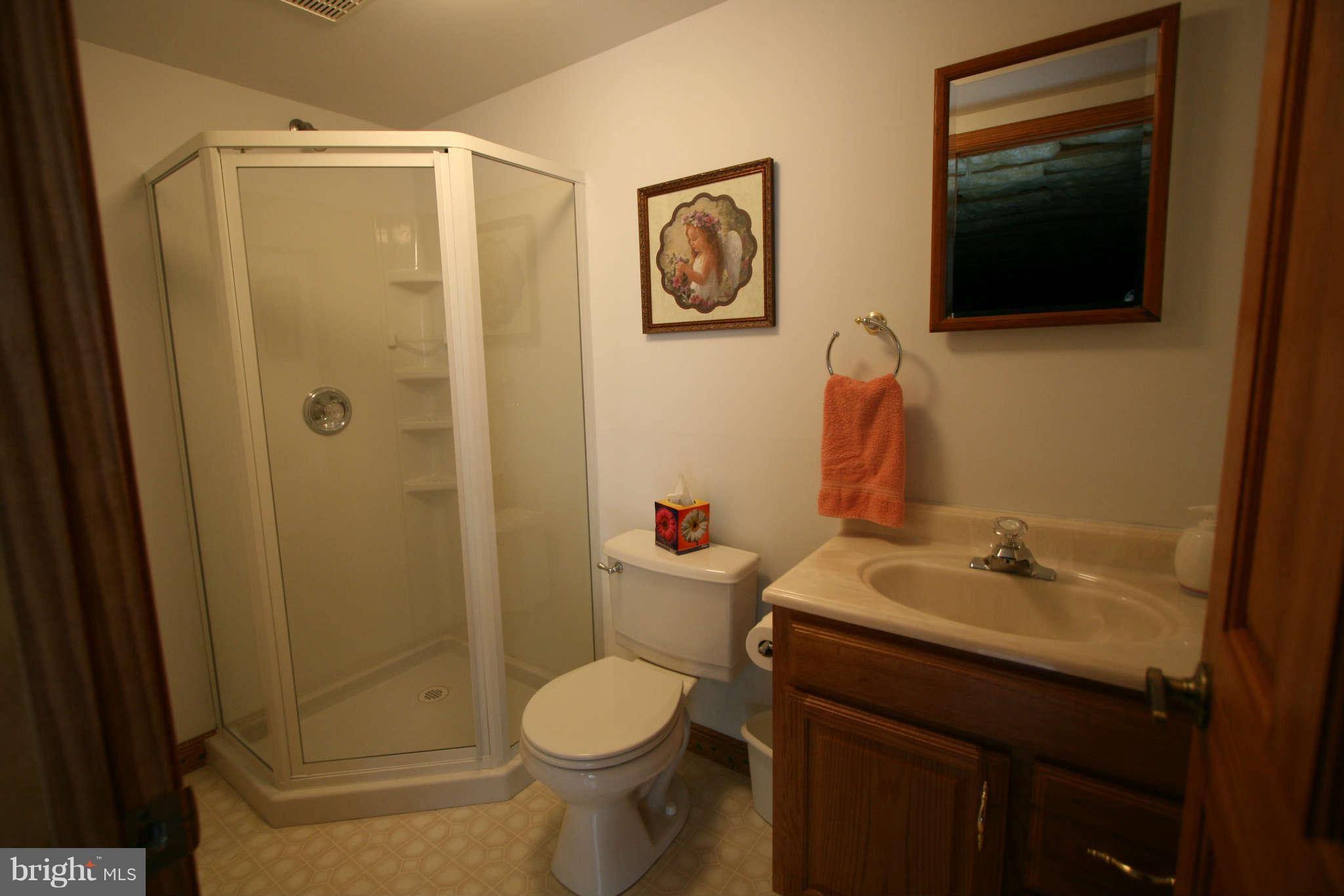 1036 B And L Club Road Pasadena, MD 21122 - Photo 22 of 30 a bathroom with a sink toilet and shower