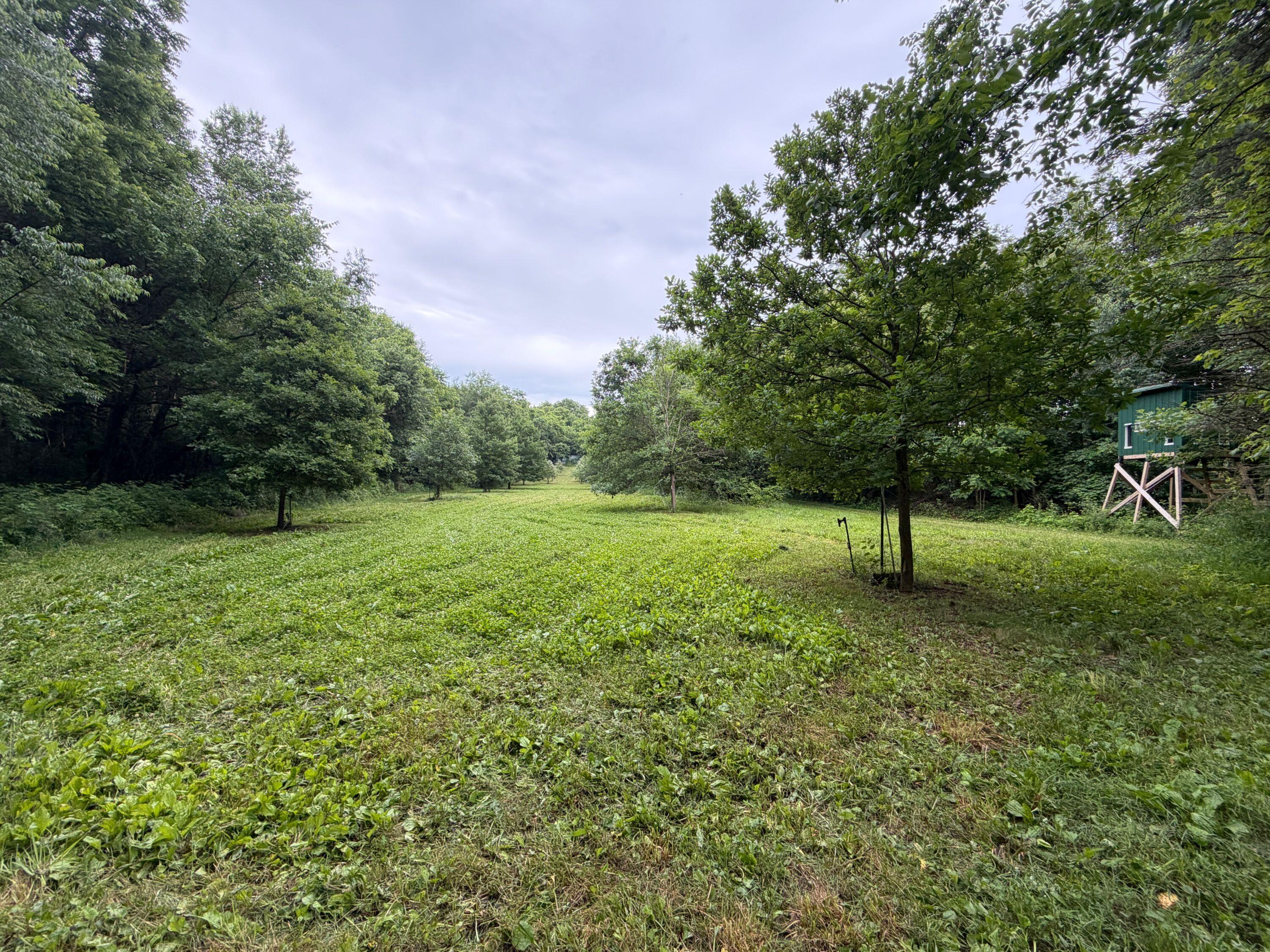 52402 Oak Plains Road Marcellus, MI 49067 - Photo 24 of 59 IMG_8461