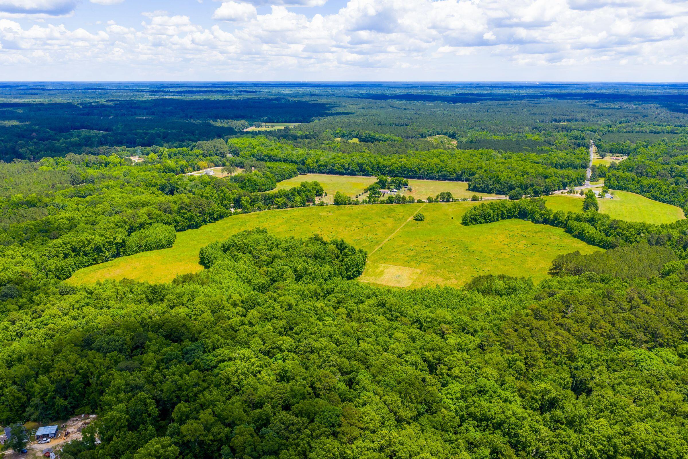 0 Rehoboth Road Cottageville, SC 29435 - Photo 24 of 35 RehobothRd-KeenEyeMarketing-024