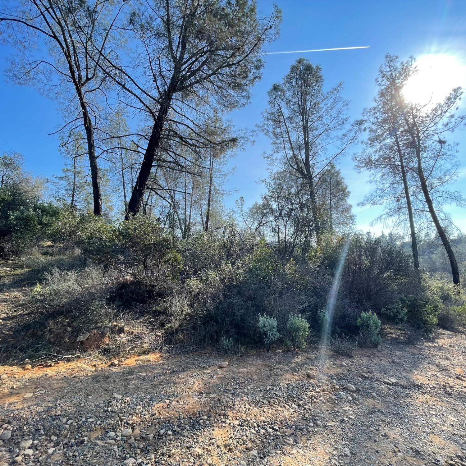 0 Deer Valley Road Oroville, CA 95966 - Photo 11 of 11