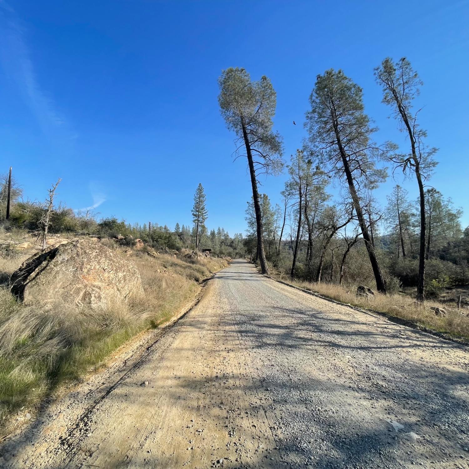 0 Deer Valley Road Oroville, CA 95966 - Photo 5 of 11