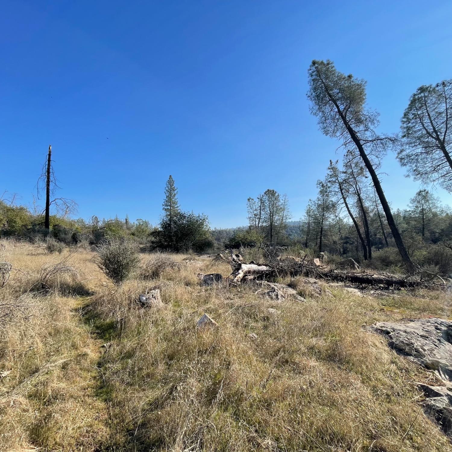 0 Deer Valley Road Oroville, CA 95966 - Photo 7 of 11