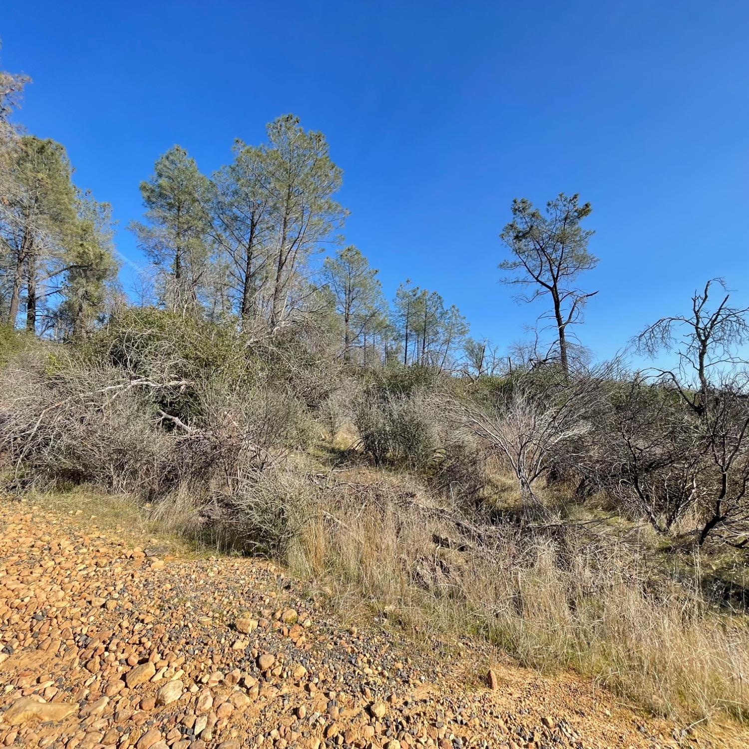 0 Deer Valley Road Oroville, CA 95966 - Photo 10 of 11