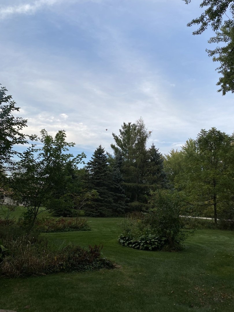 18525 Ridge Lane Marengo, IL 60152 - Photo 24 of 35 a view of a grassy field with trees