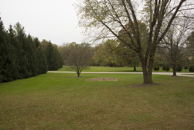 16380 Browns Road Morrison, IL 61270 - Photo 34 of 41 a view of a field with trees in the background