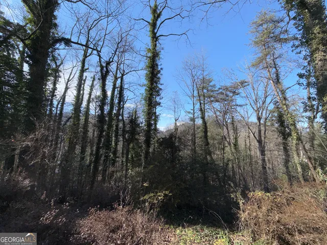 a view of outdoor space and covered with trees