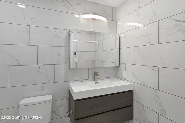 a bathroom with a sink toilet and vanity