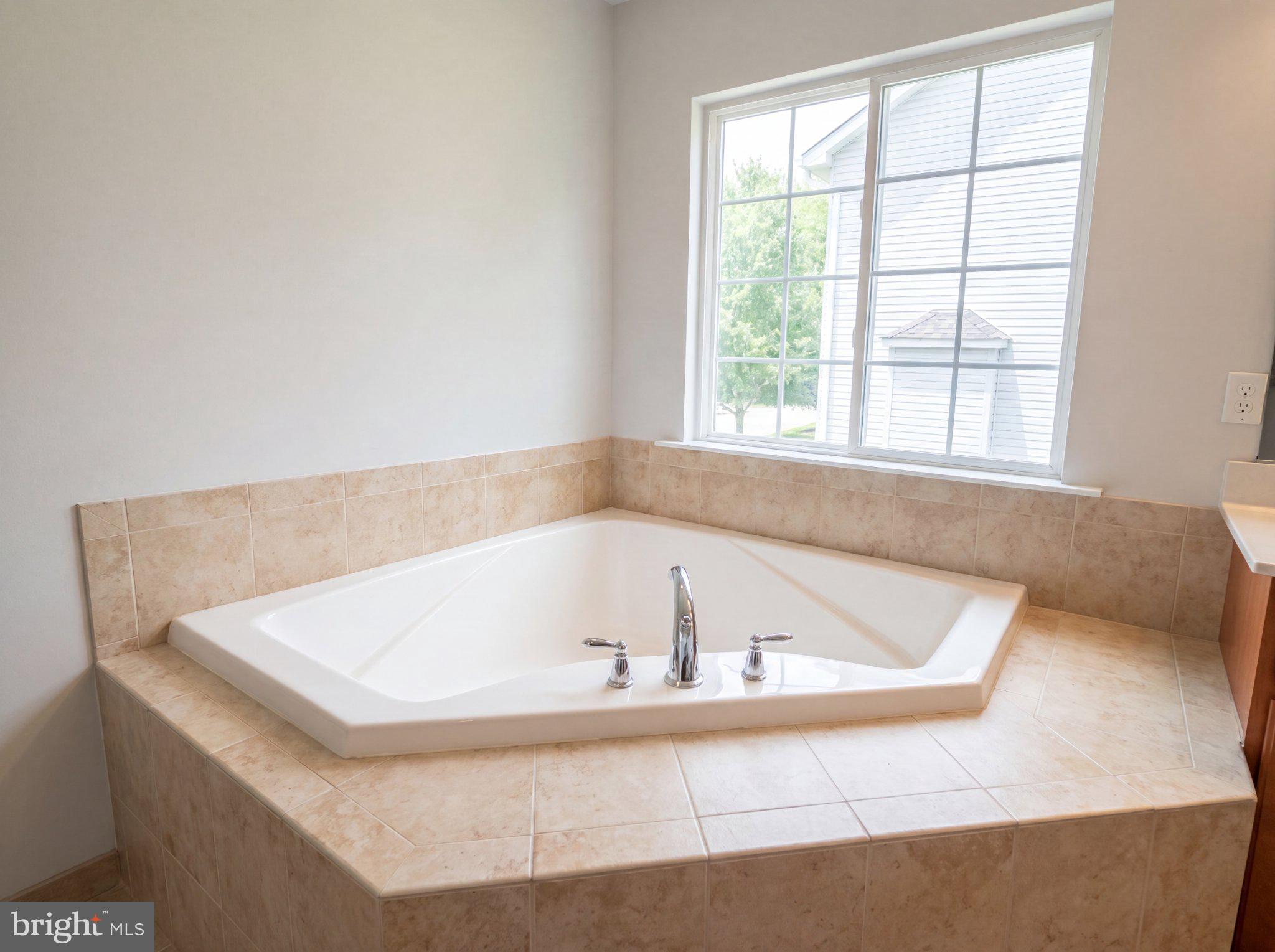 7923 Fawn Run Jessup, MD 20794 - Photo 15 of 22 Serene corner tub with natural light.
