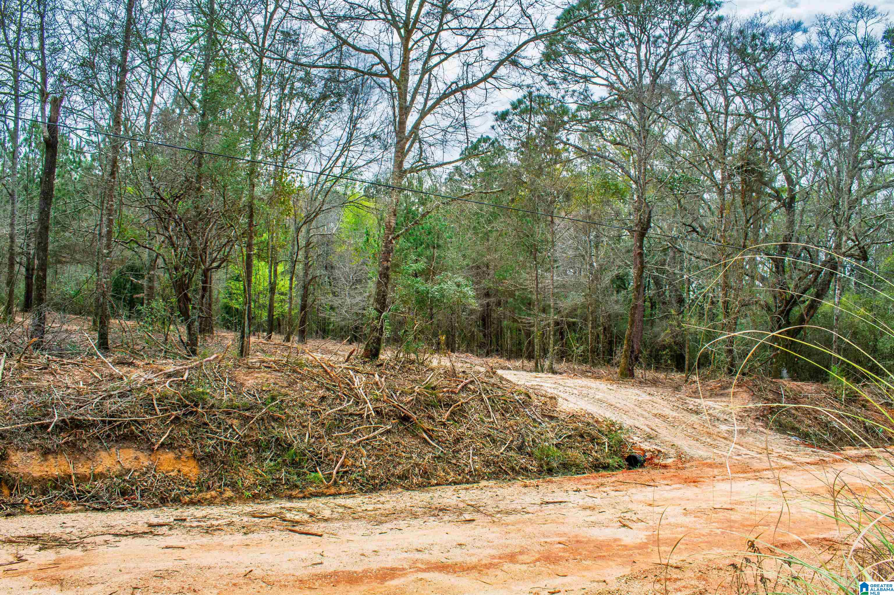 27180 Deer Run Road Opp, AL 36467 - Photo 59 of 60