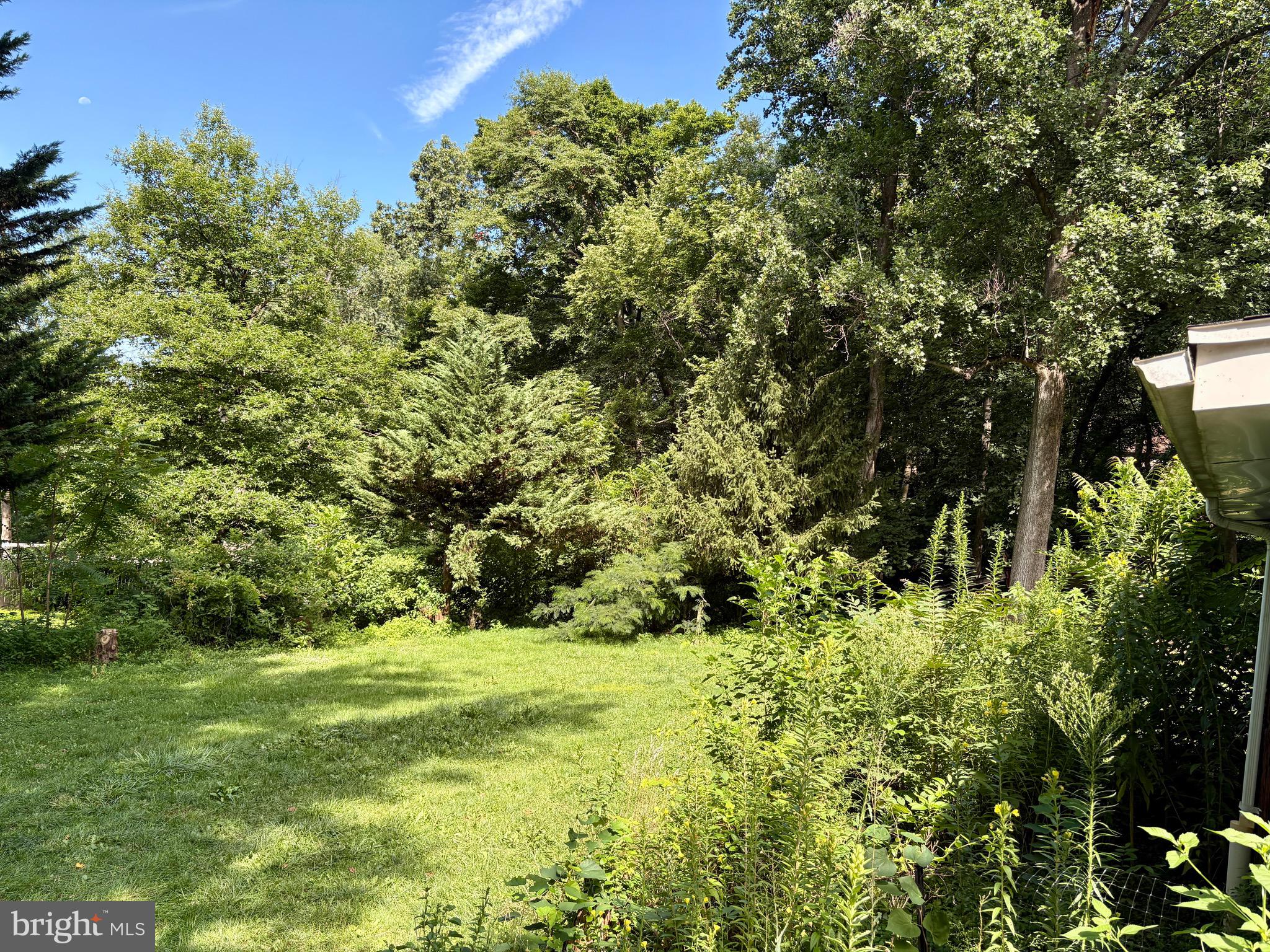 5536 Bossler Road Elizabethtown, PA 17022 - Photo 41 of 43 Backyard