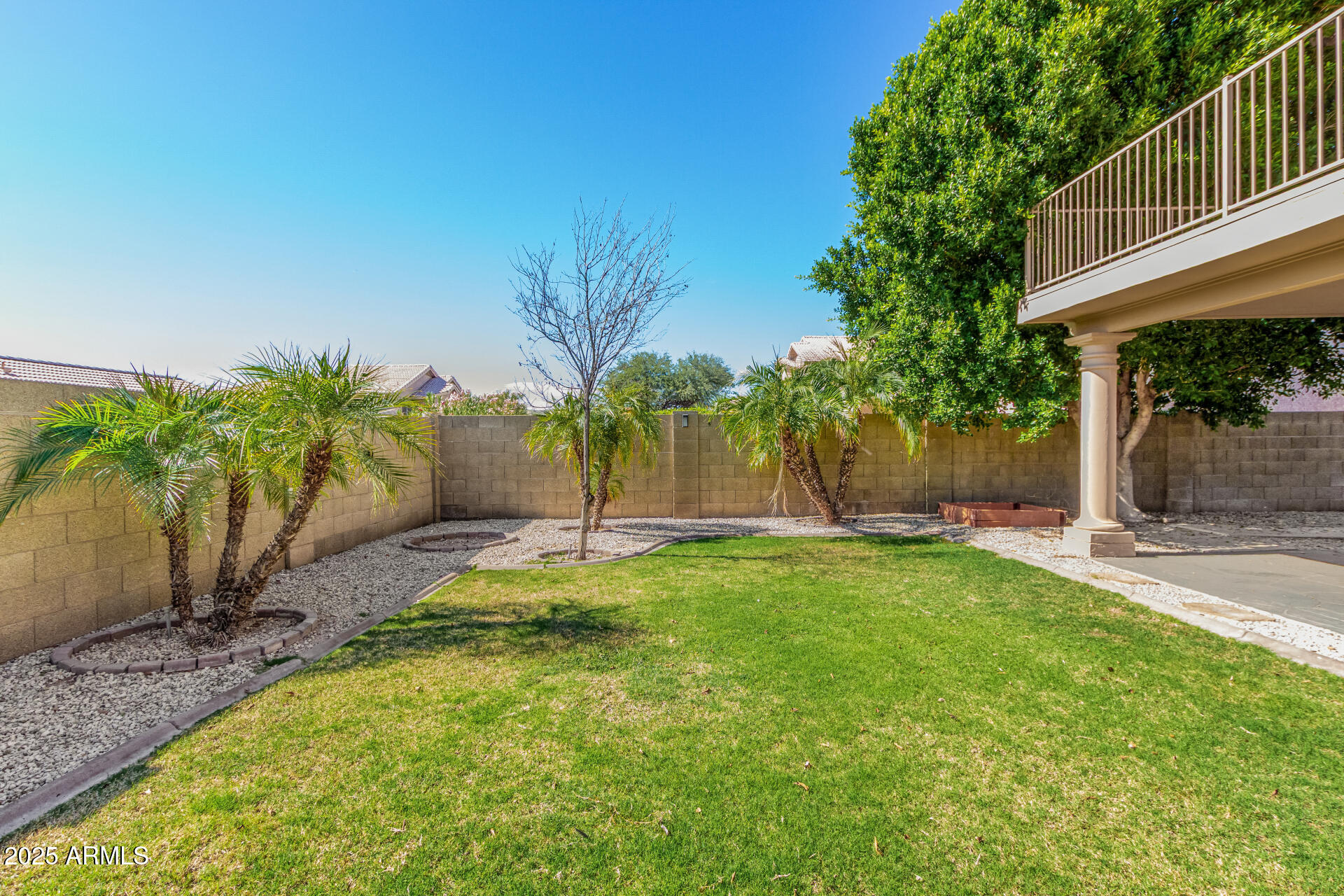 3013 East Bighorn Avenue Phoenix, AZ 85048 - Photo 39 of 40 a view of a yard with palm trees