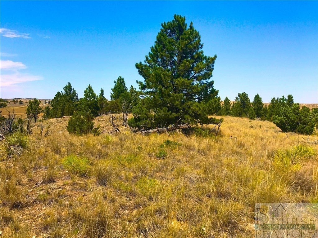 24 East Sunshine Road Roundup, MT 59072 - Photo 1 of 1 Gallery Image 1