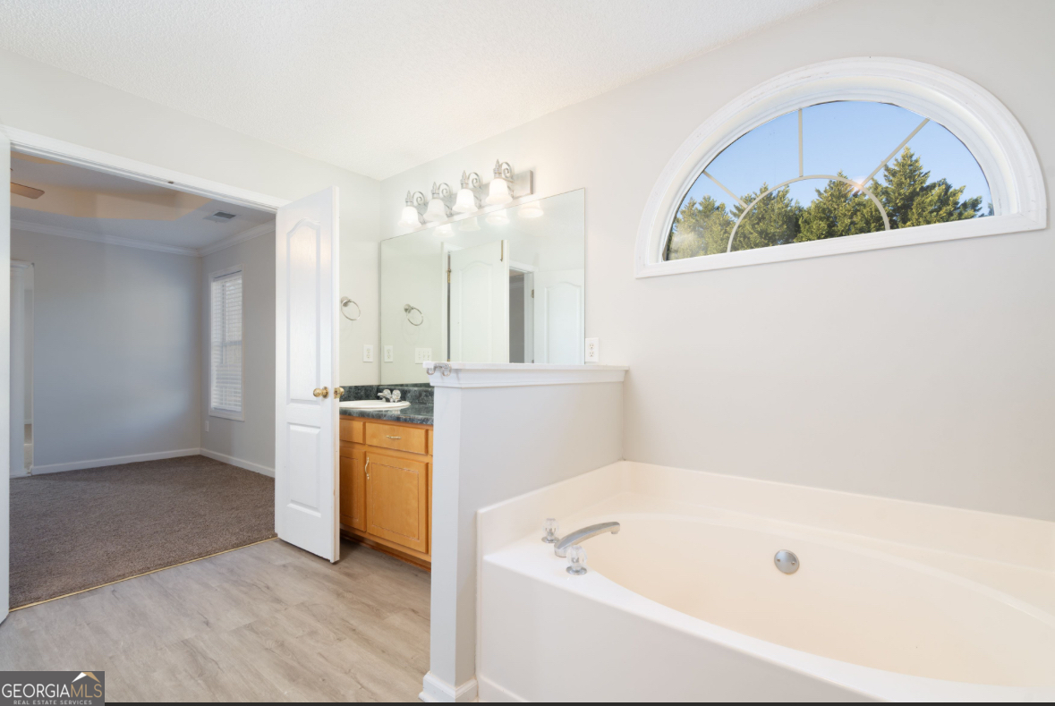 4414 Mitchells Ridge Drive Ellenwood, GA 30294 - Photo 18 of 25 a bathroom with a tub sink and mirror