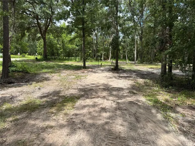 a view of a tree in a yard