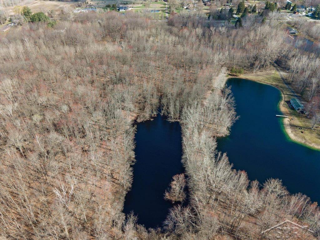 12537 Frost Road Hemlock, MI 48626 - Photo 15 of 21