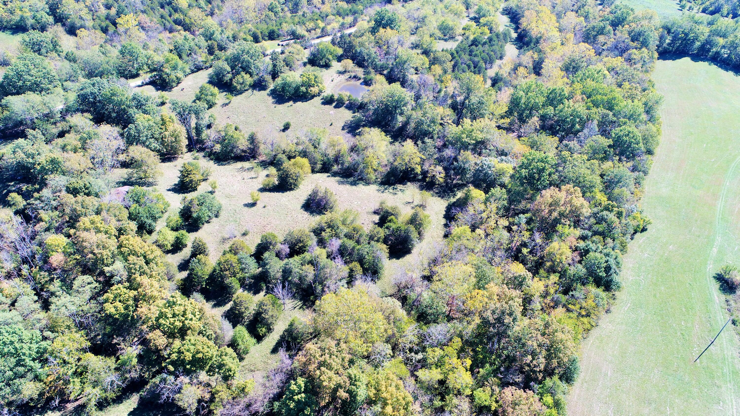 772 Fallis Run Road Harrodsburg, KY 40330 - Photo 36 of 45 DJI_0107 (2)