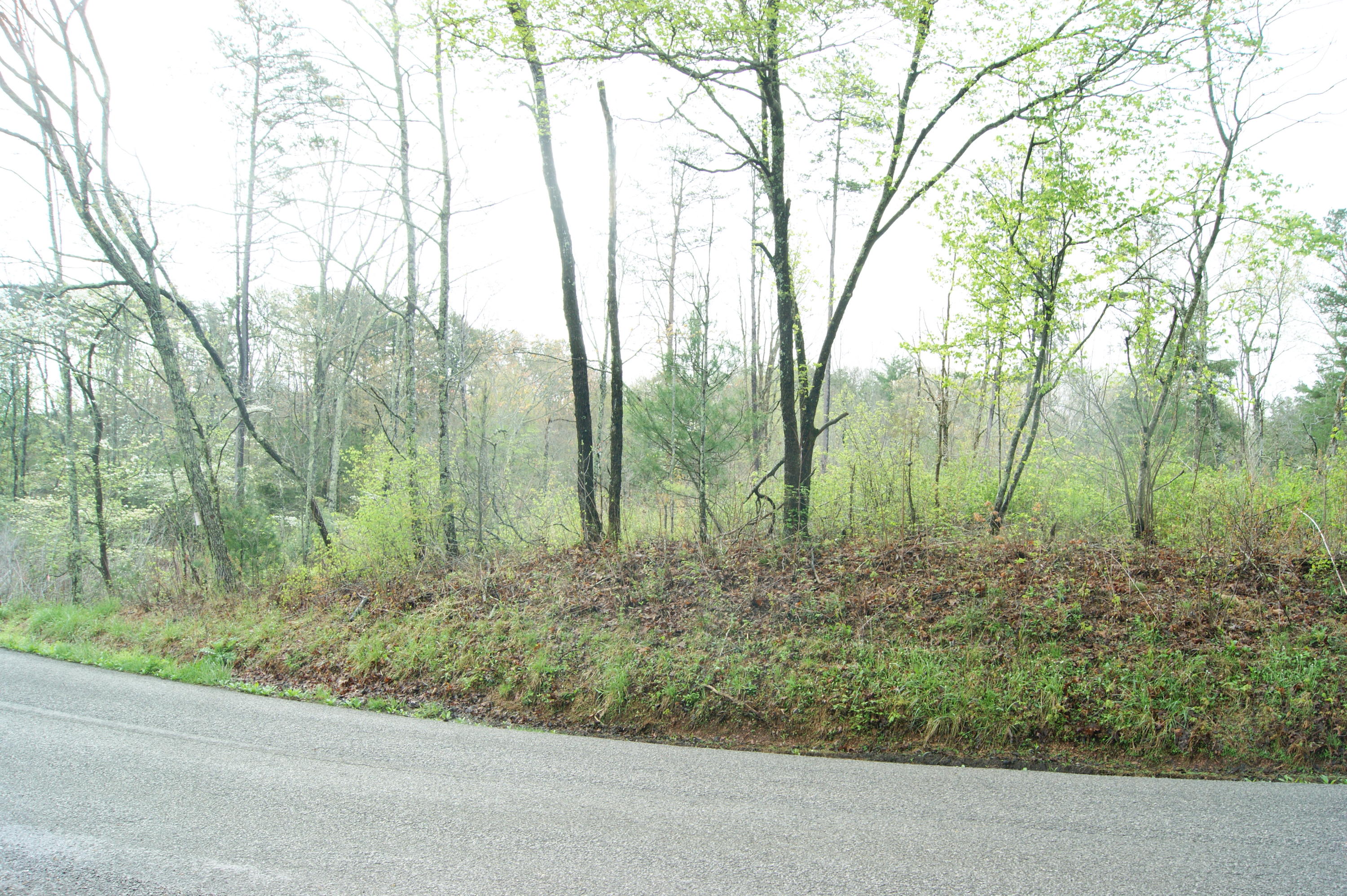 307 Epperson Road Tellico Plains, TN 37385 - Photo 5 of 6 DSC06446