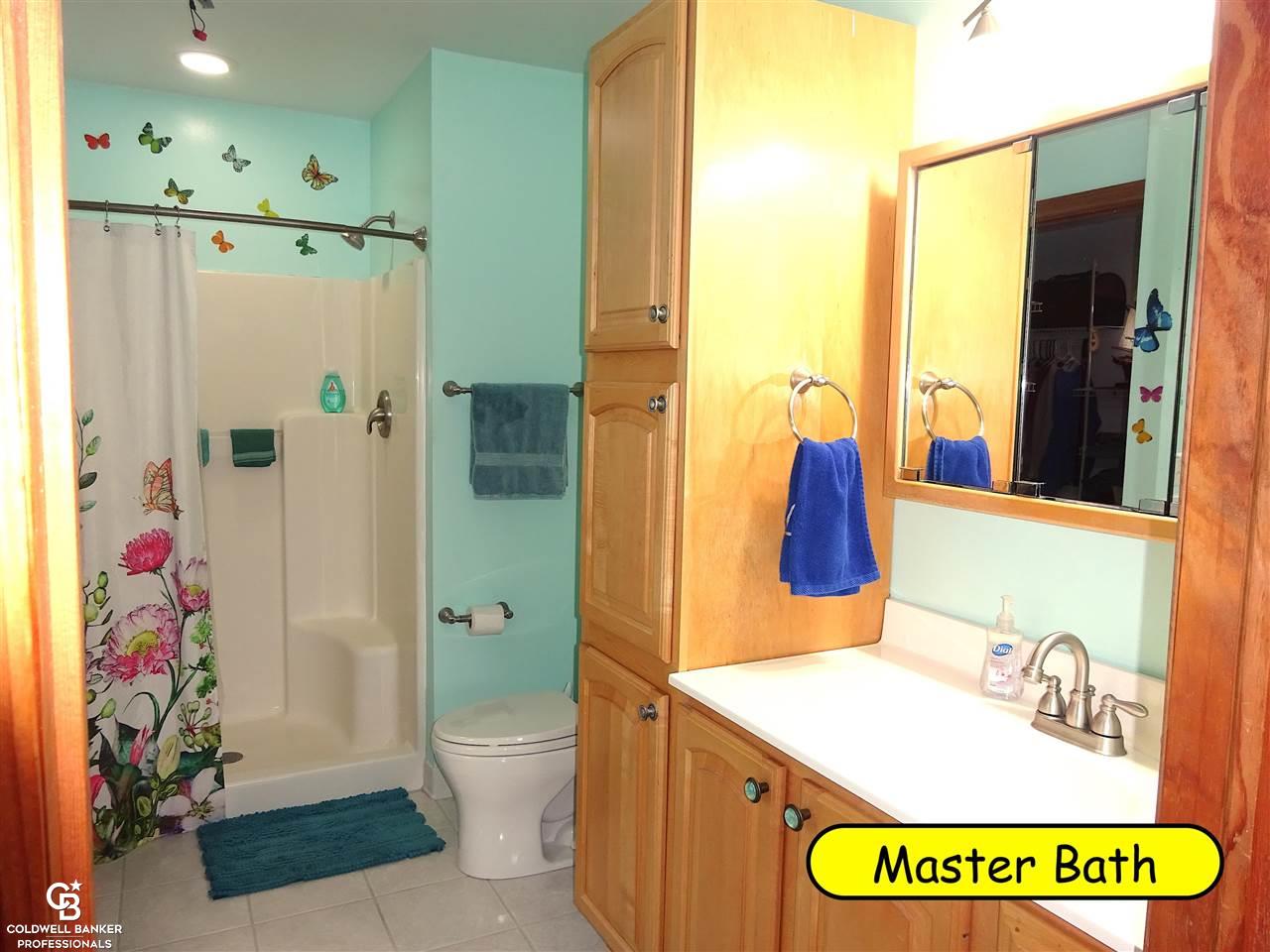 8118 Mason Road Yale, MI 48097 - Photo 17 of 35 Master bth 1