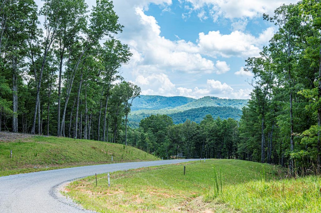 151 The Ridges Morganton, GA 30560 - Photo 12 of 35 Mountain Views Driving Through Community