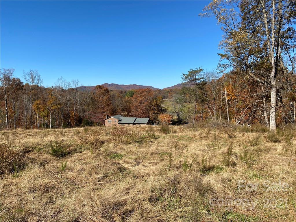 224 Marlowe Road Hiddenite, NC 28636 - Photo 2 of 45 Gallery Image 2