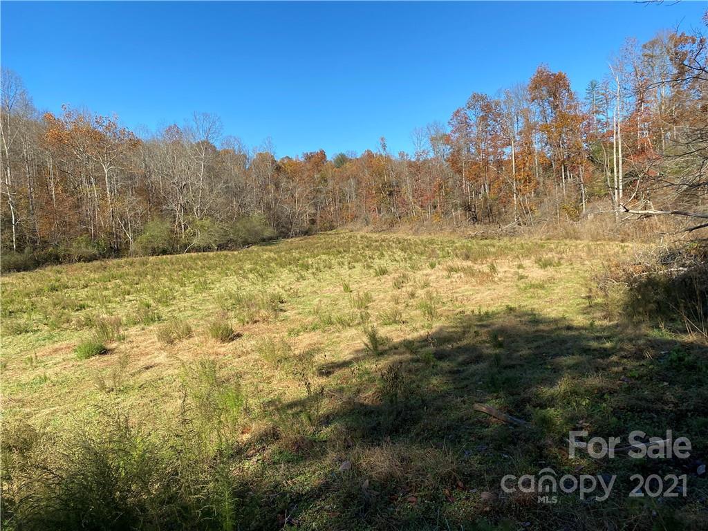 224 Marlowe Road Hiddenite, NC 28636 - Photo 39 of 45 Gallery Image 39