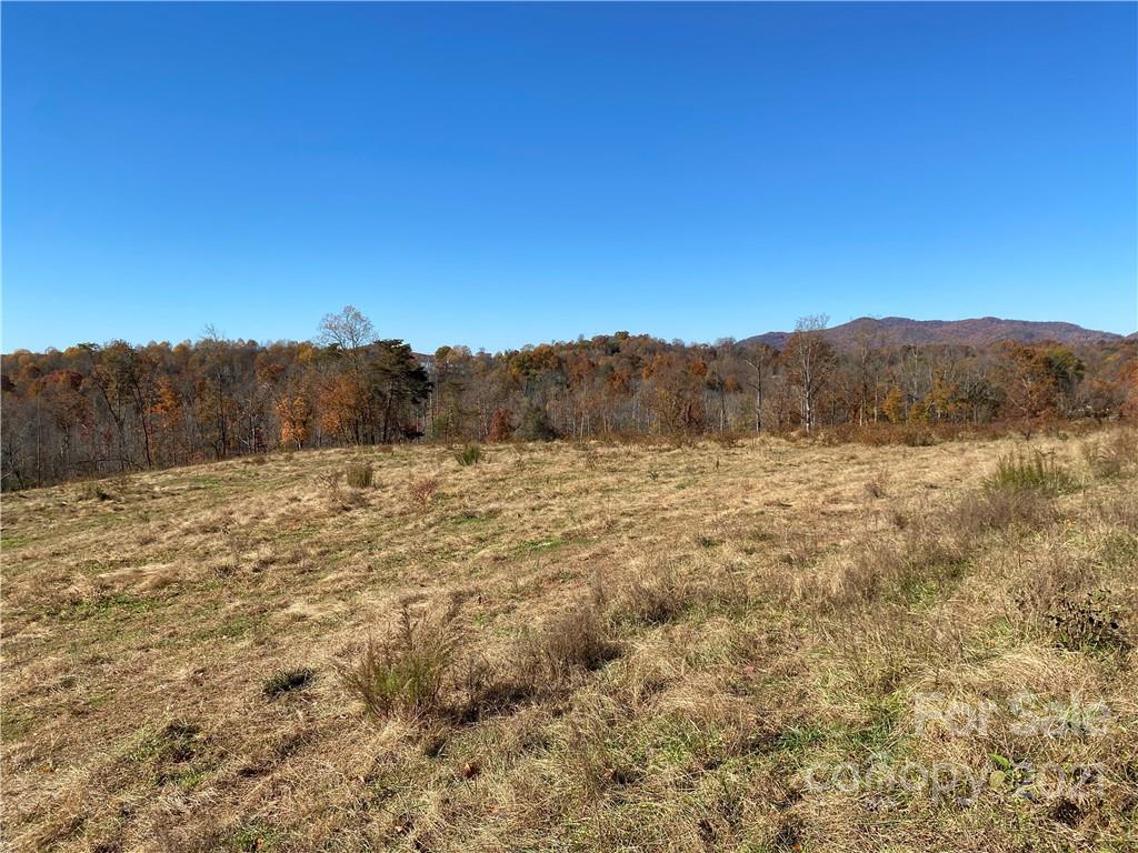 224 Marlowe Road Hiddenite, NC 28636 - Photo 40 of 45 Gallery Image 40