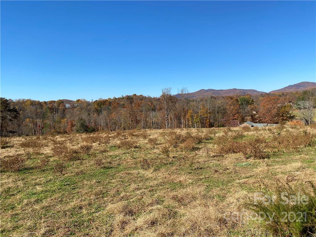 224 Marlowe Road Hiddenite, NC 28636 - Photo 41 of 45 Gallery Image 41