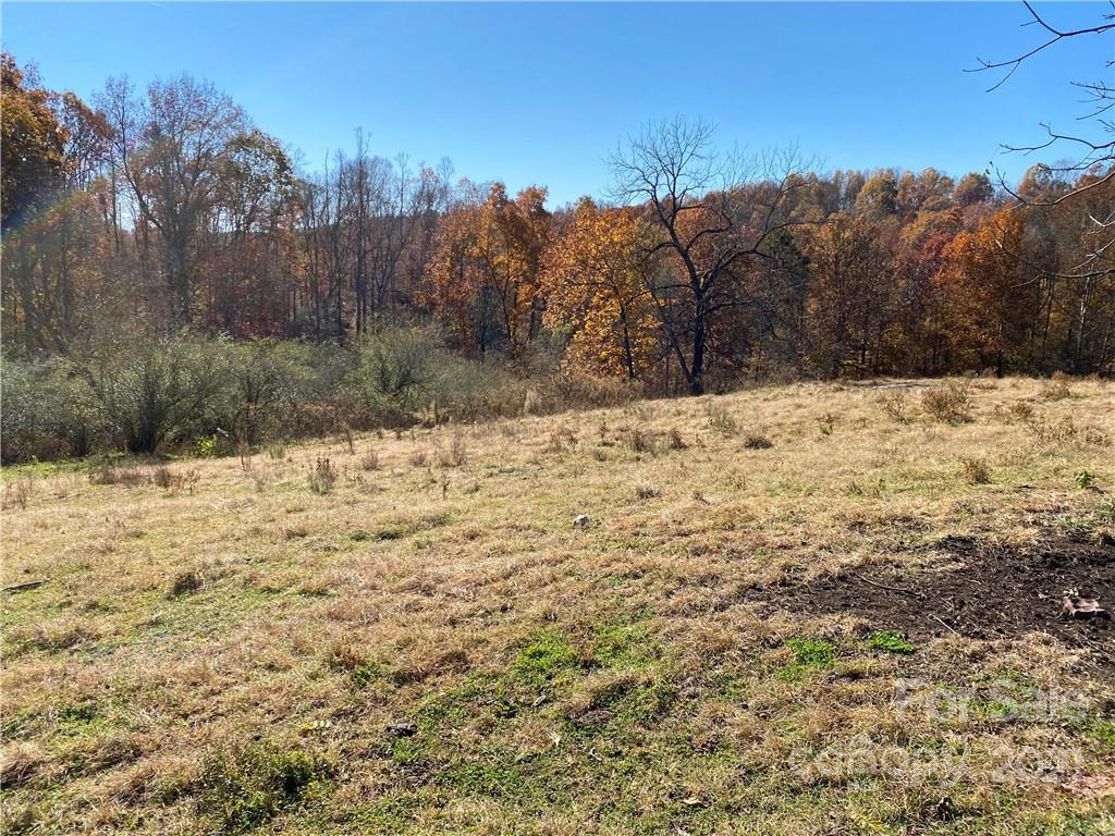 224 Marlowe Road Hiddenite, NC 28636 - Photo 43 of 45 Gallery Image 43