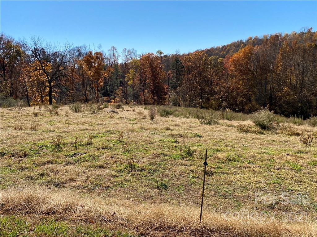 224 Marlowe Road Hiddenite, NC 28636 - Photo 44 of 45 Gallery Image 44
