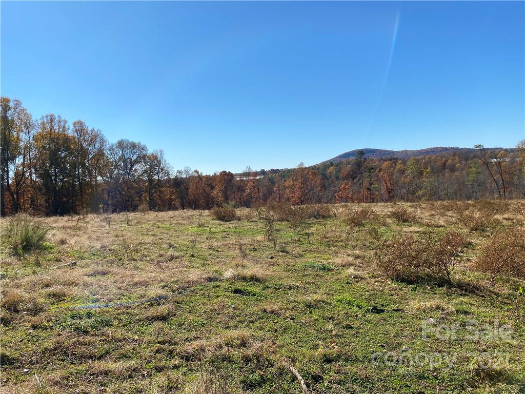 224 Marlowe Road Hiddenite, NC 28636 - Photo 45 of 45 Gallery Image 45
