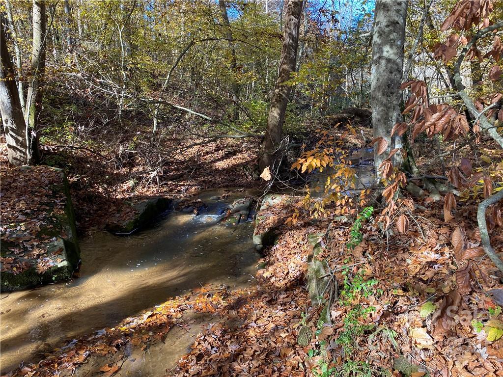 224 Marlowe Road Hiddenite, NC 28636 - Photo 6 of 45 Gallery Image 6