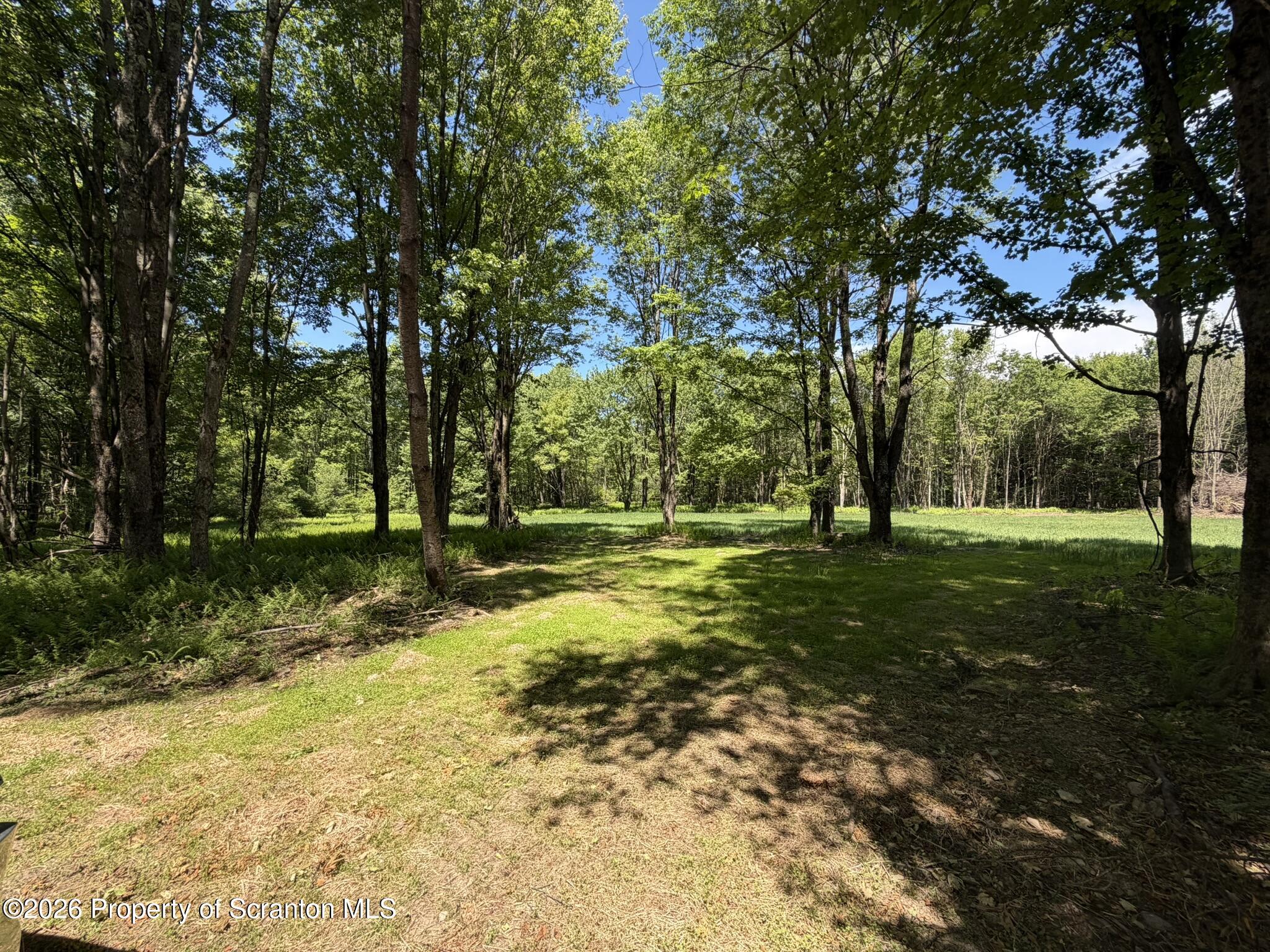 1477 Chipmunk Road Thompson, PA 18465 - Photo 30 of 37 Hidden Field