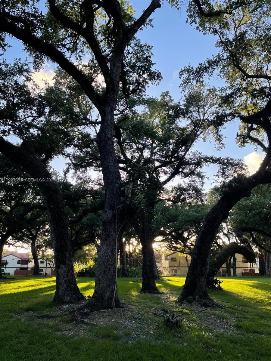 601 Ives Dairy Road, Unit 4038 Miami, FL 33179 - Photo 46 of 49